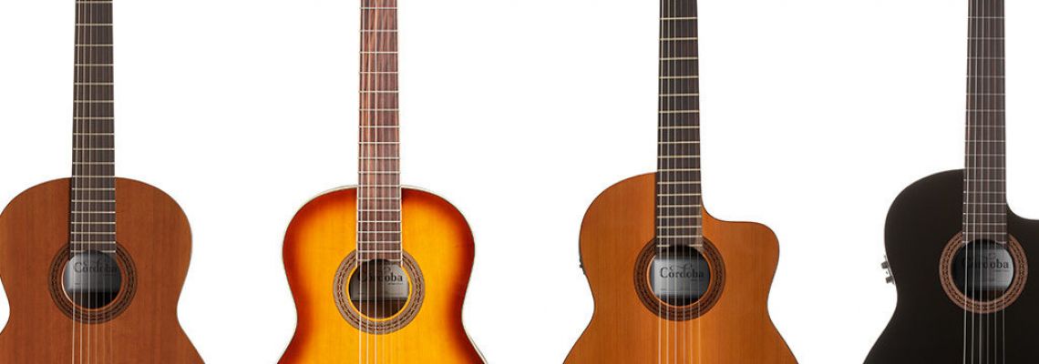 Akoestische Gitaar