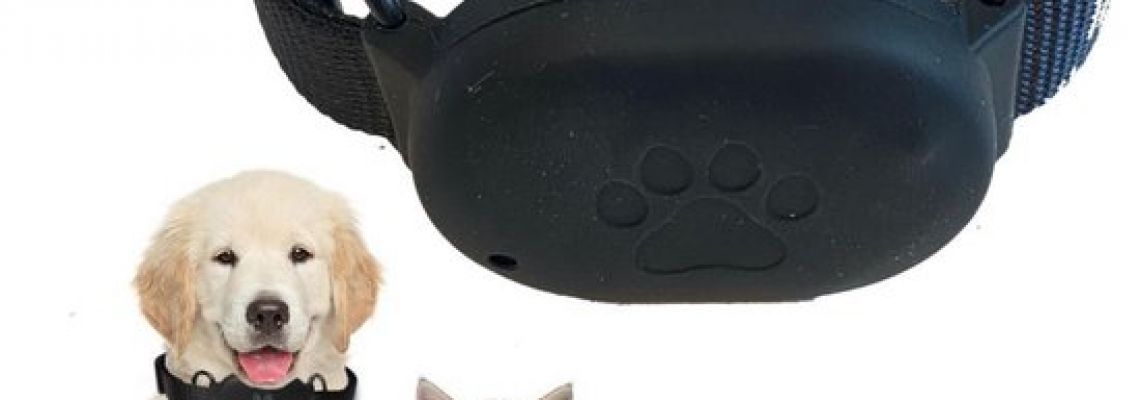 GPS Tracker Hond