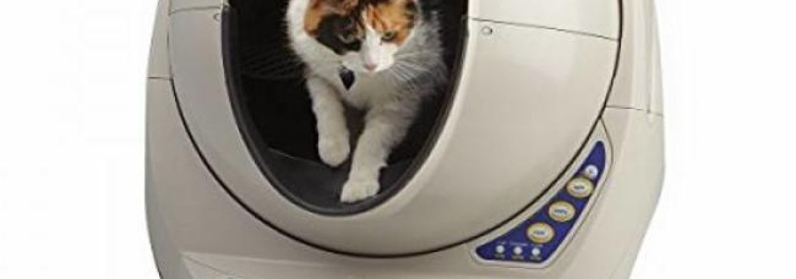 Litter Robot Nederland