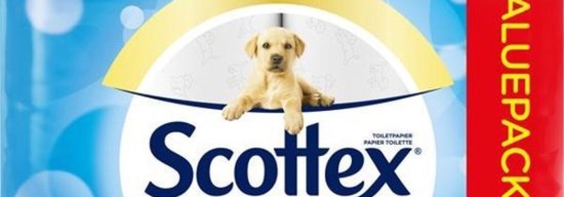 Scottex WC papier