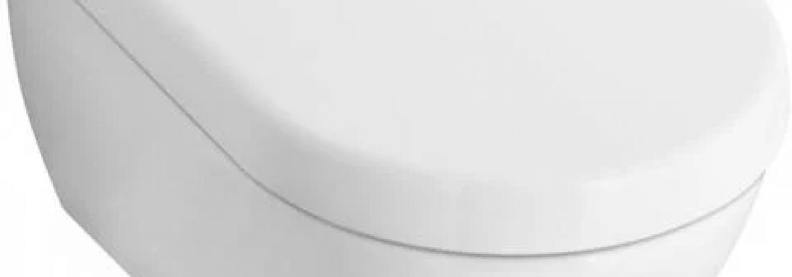 Villeroy en Boch toilet