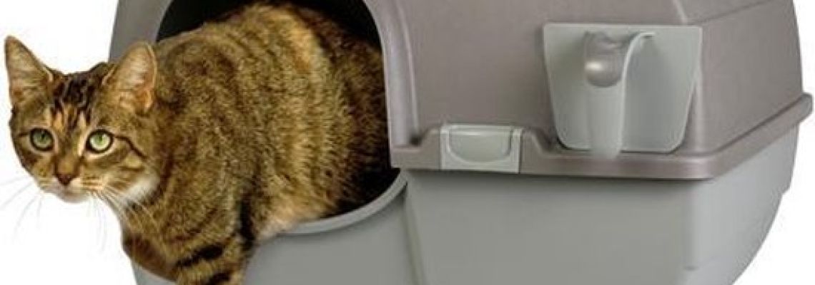 Zelfreinigende Kattenbak