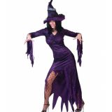 Heksen outfit zwart/paars