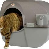 Omega Paw Zelfreinigende Kattenbak L - Bruin - 50 x 56 x 50 cm