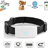 Winnes GPS Tracker hond