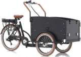 Troy Elektrische Bakfiets